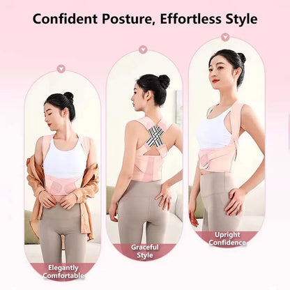 Ergonomic Spine Alignment & Lumbar Support